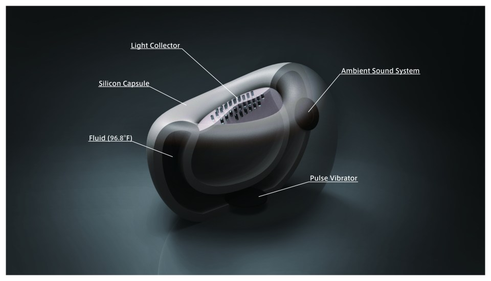 Presentation_1026-13